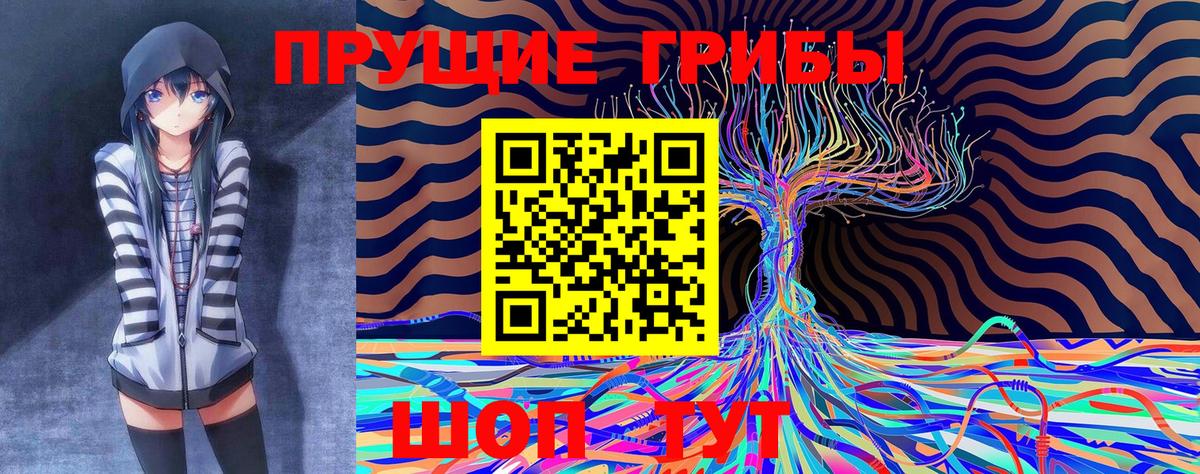 Галлюциногенные грибы ЛСД  Псилоцибиновые грибы Psilocybine cubensis  купить наркотики сайты  Вход с VPN  Приморско-Ахтарск 