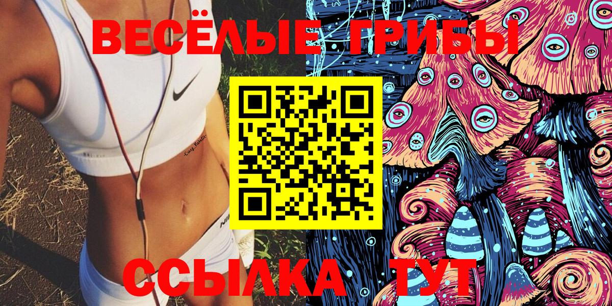 Псилоцибиновые грибы Psilocybe Приморско-Ахтарск