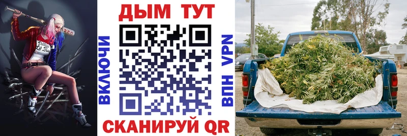 Конопля марихуана  где продают наркотики  Приморско-Ахтарск 