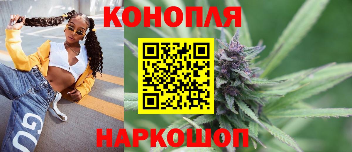 Шишки марихуана план Приморско-Ахтарск